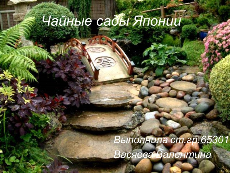 Чайные сады Японии Выполнила ст.гр.65301  Васяева Валентина